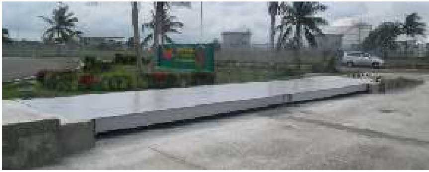Pitless scale